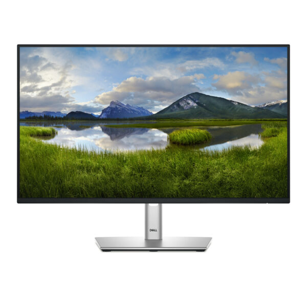 Монитор Dell P2425HE, 23.8" IPS FHD 100Hz, USB-C хъб